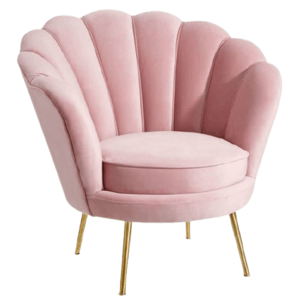 Furniture Chair